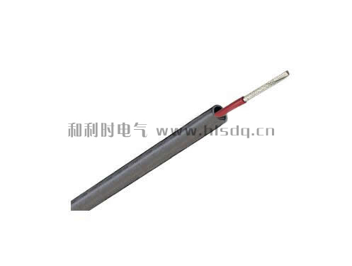 ����ȼ���ЧӦ/�ܵ���������ϵͳ